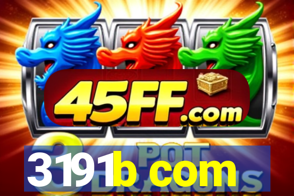 3191b com